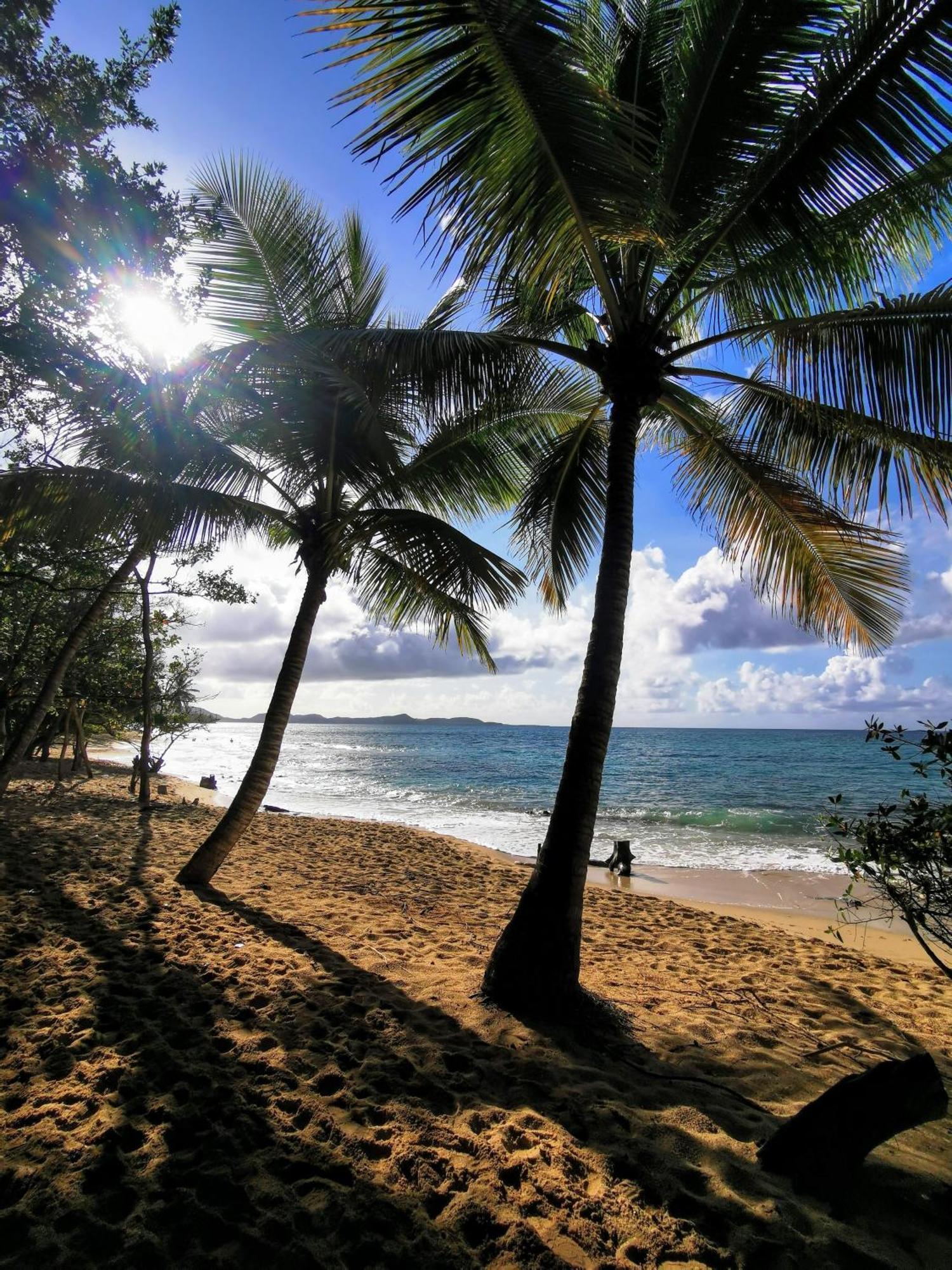 Ti'Bakoua A Sainte-Luce Plage Et Piscine Zewnętrze zdjęcie